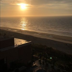 Meet your Posher, Timmy